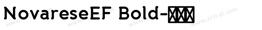 NovareseEF Bold字体转换 NovareseEF Bold字体转换